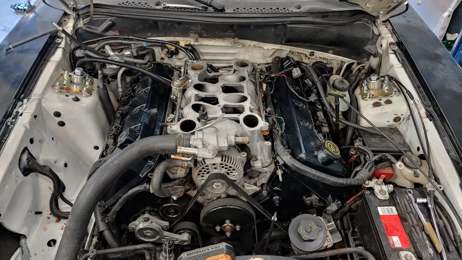 20190504_105526_HDR.webp