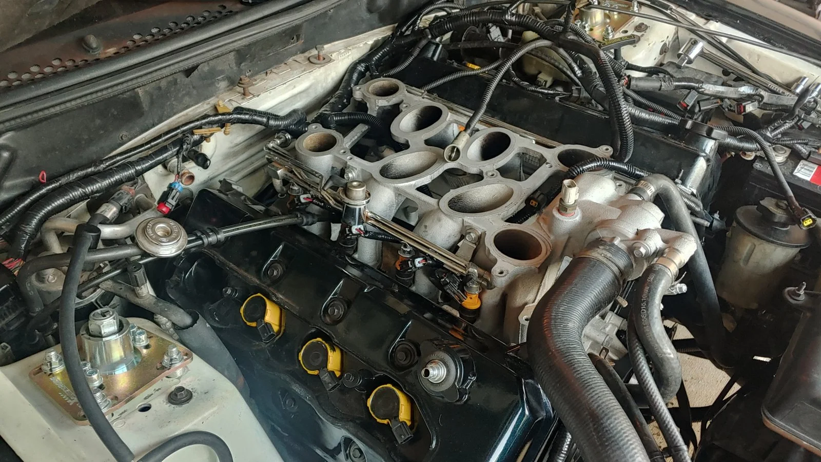 20190514_195114_HDR.webp