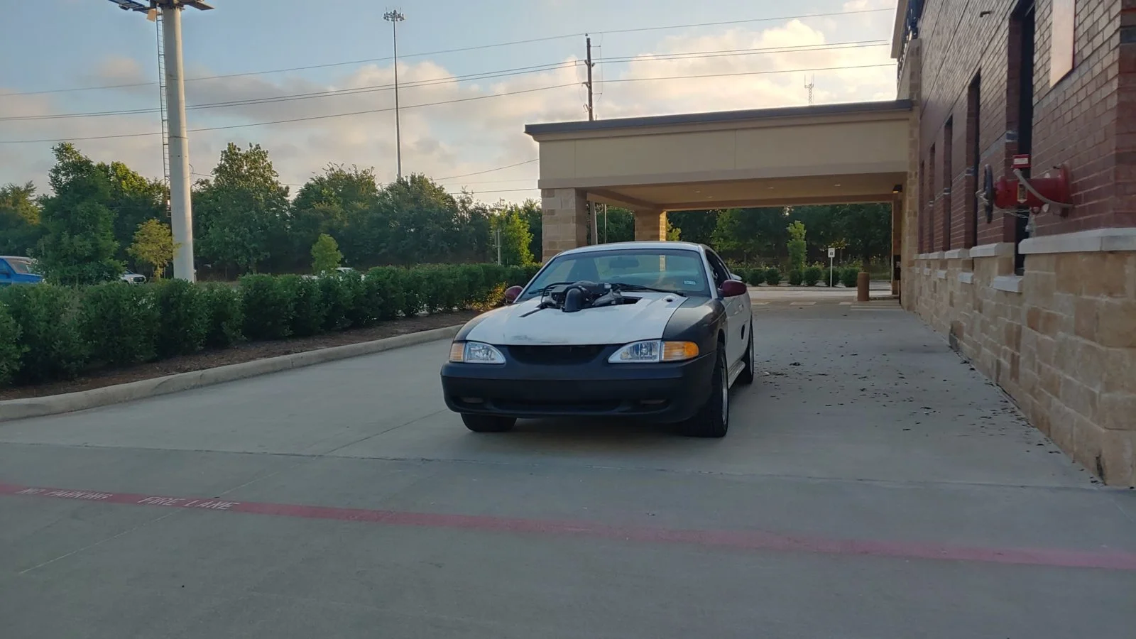 20190524_071159_HDR.webp
