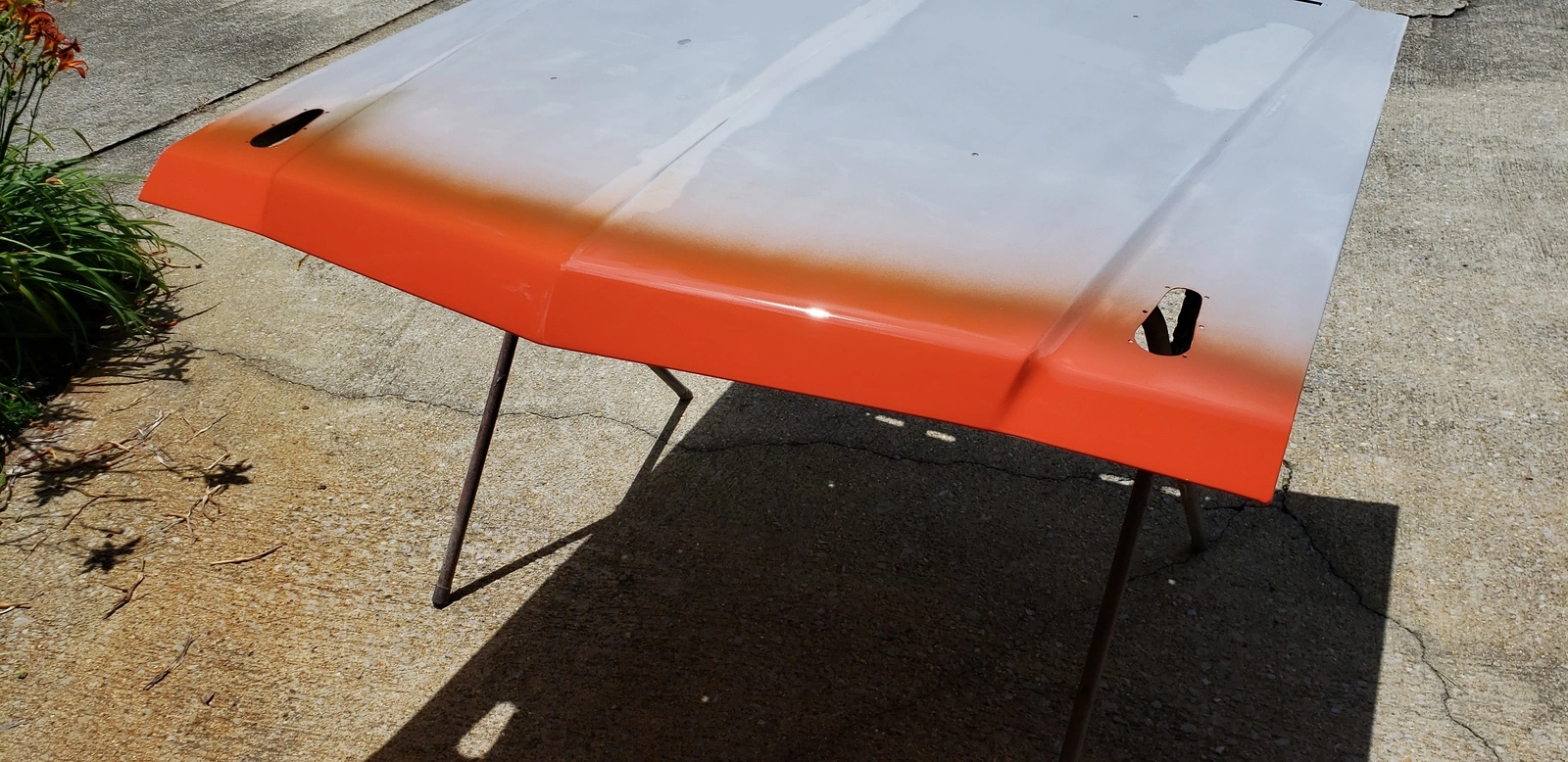 20190609_114908_zps4r4ahgja.webp