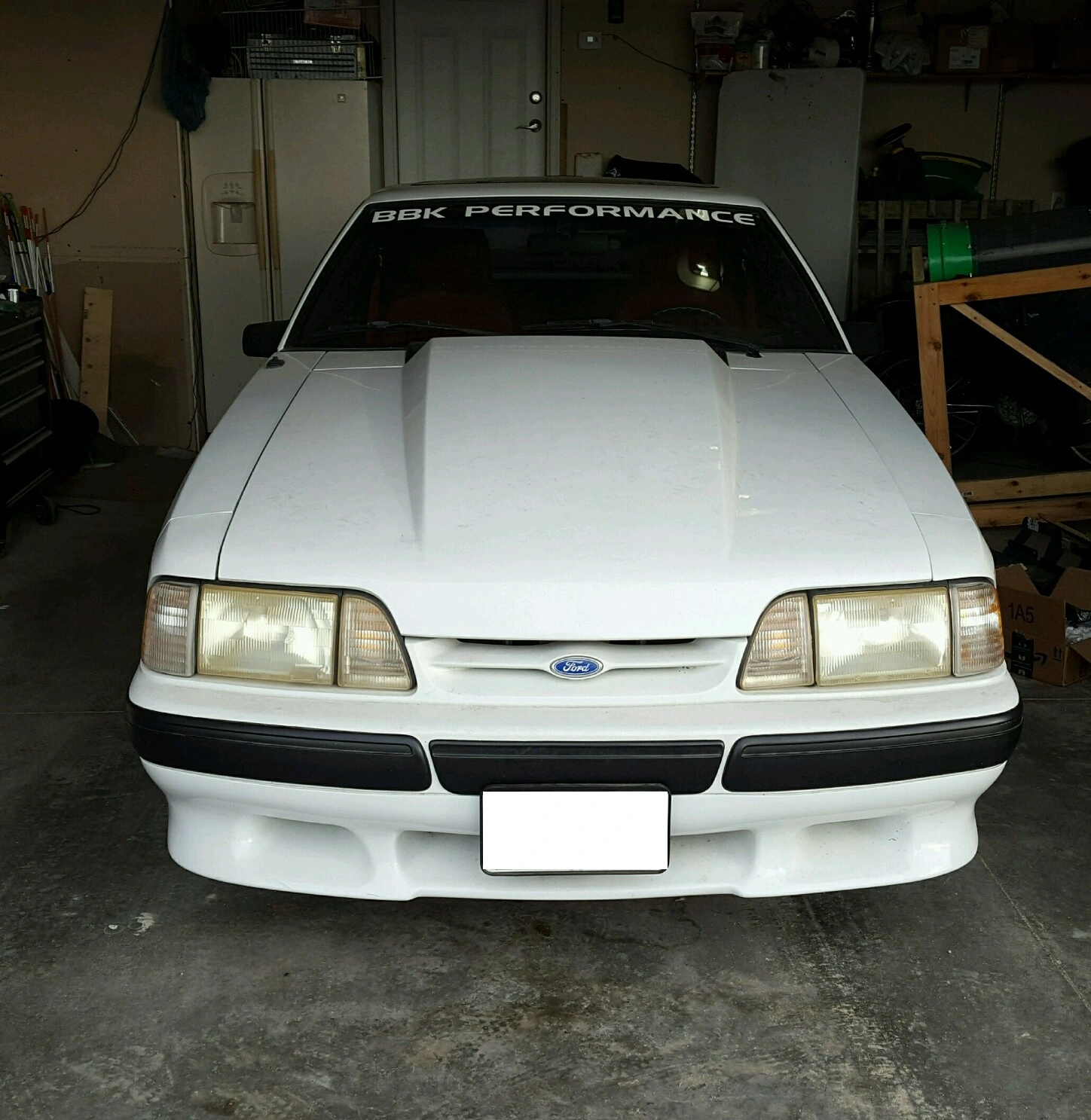 20190618_Mustang-2.webp