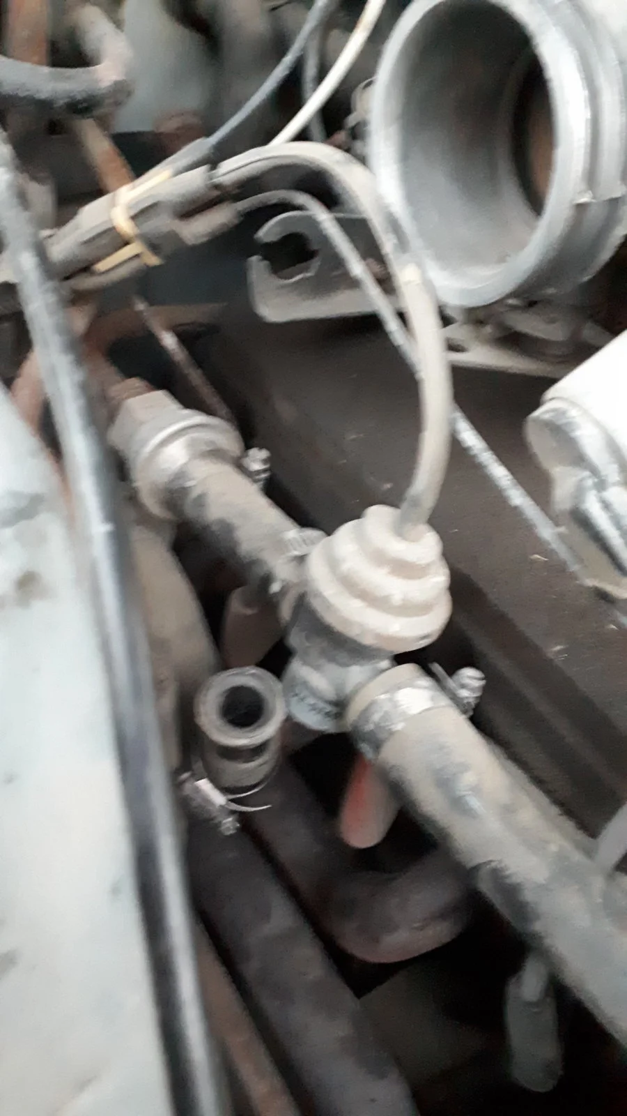 630750