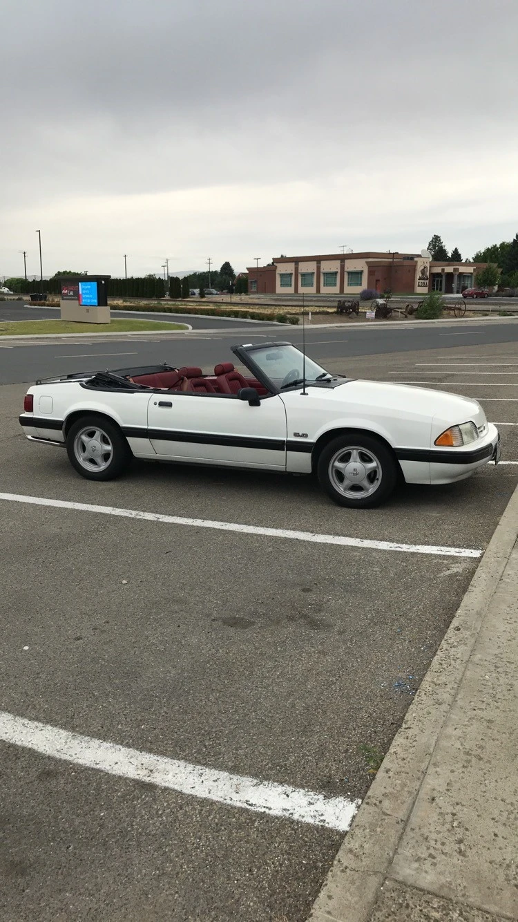 631033