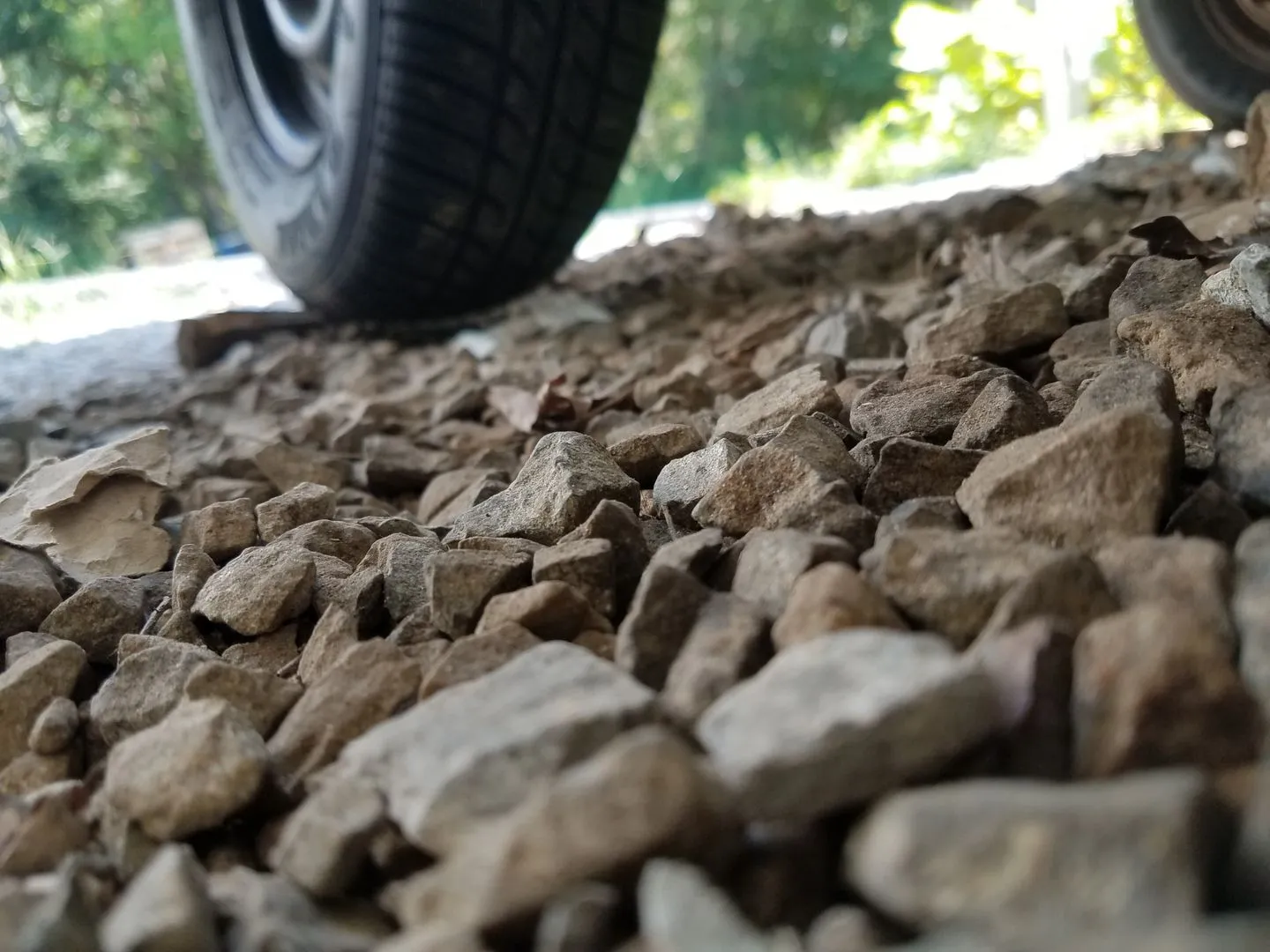 20190911_113911_zps1vjjjfij.webp