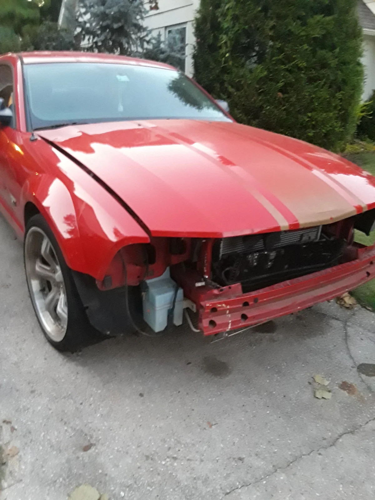 20191005_191709[1].webp