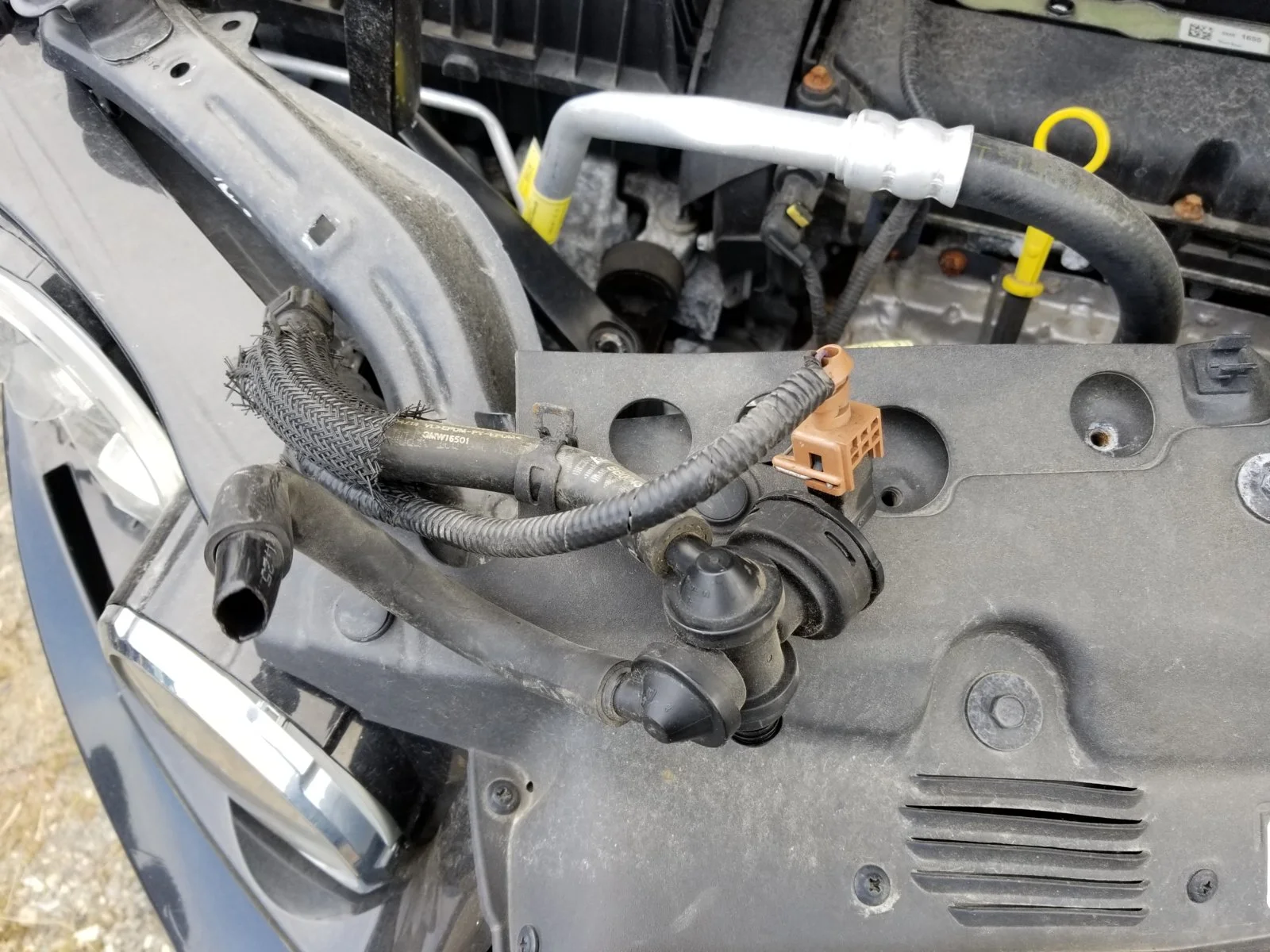 20191006_103315.webp
