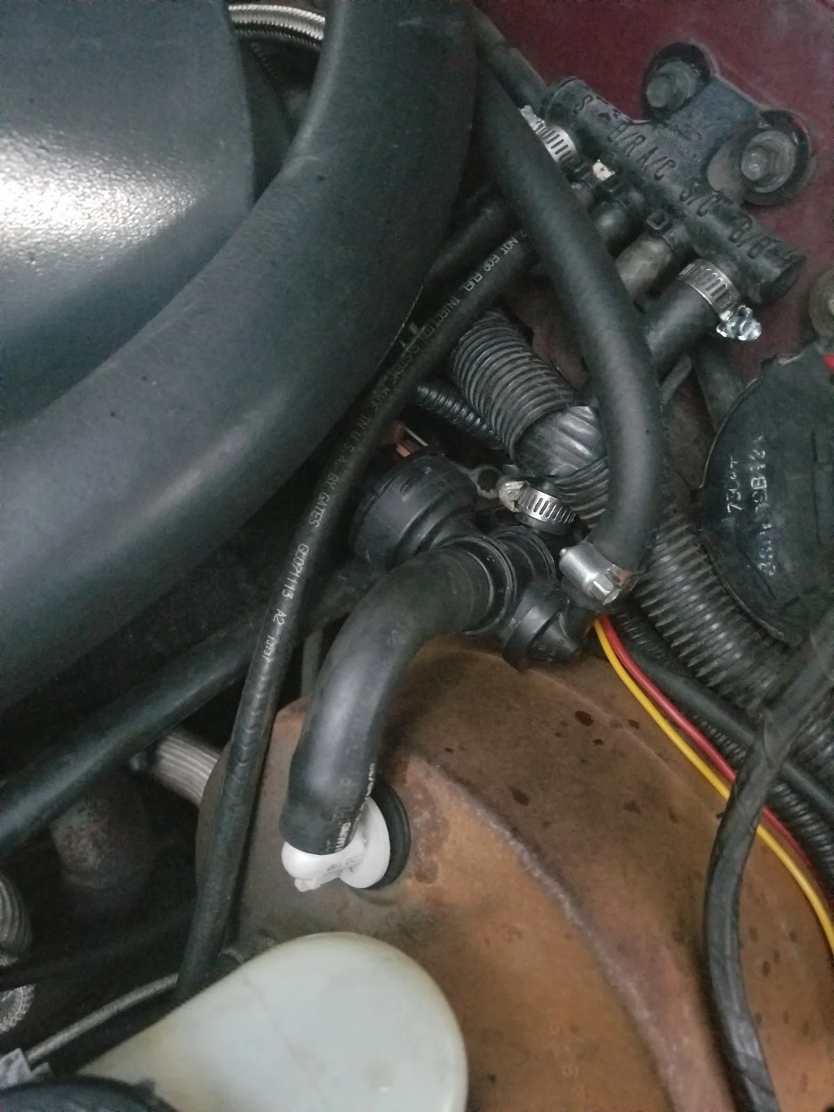 20191006_184439.jpg