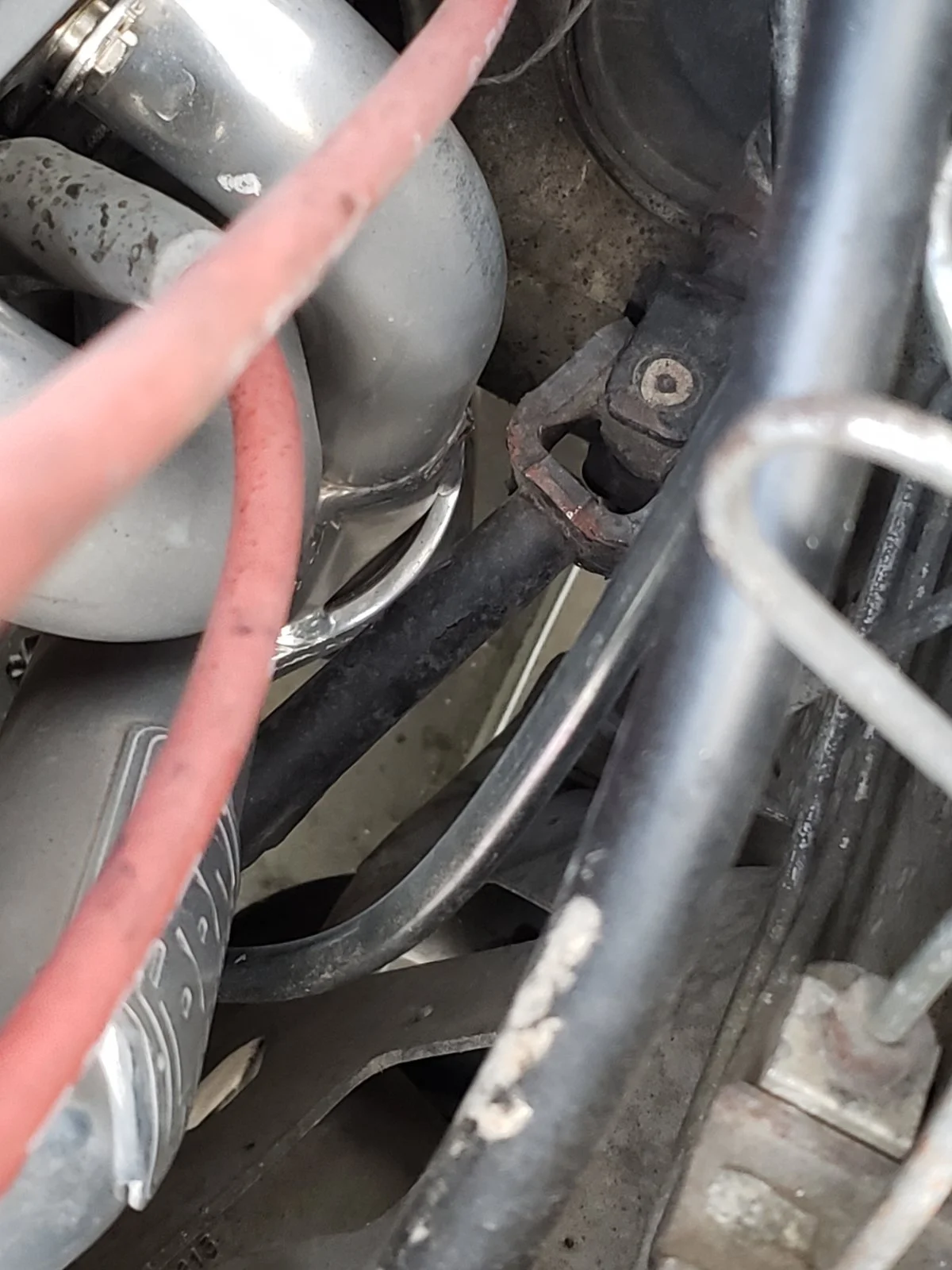 20191014_152111.webp
