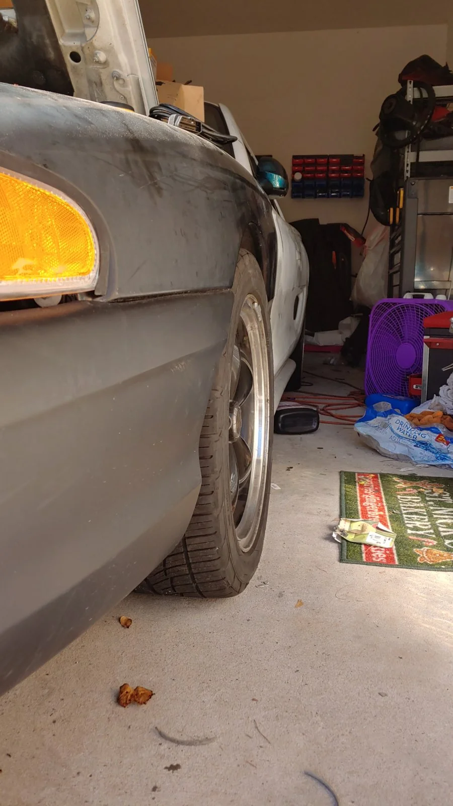 20191026_154958_HDR.webp