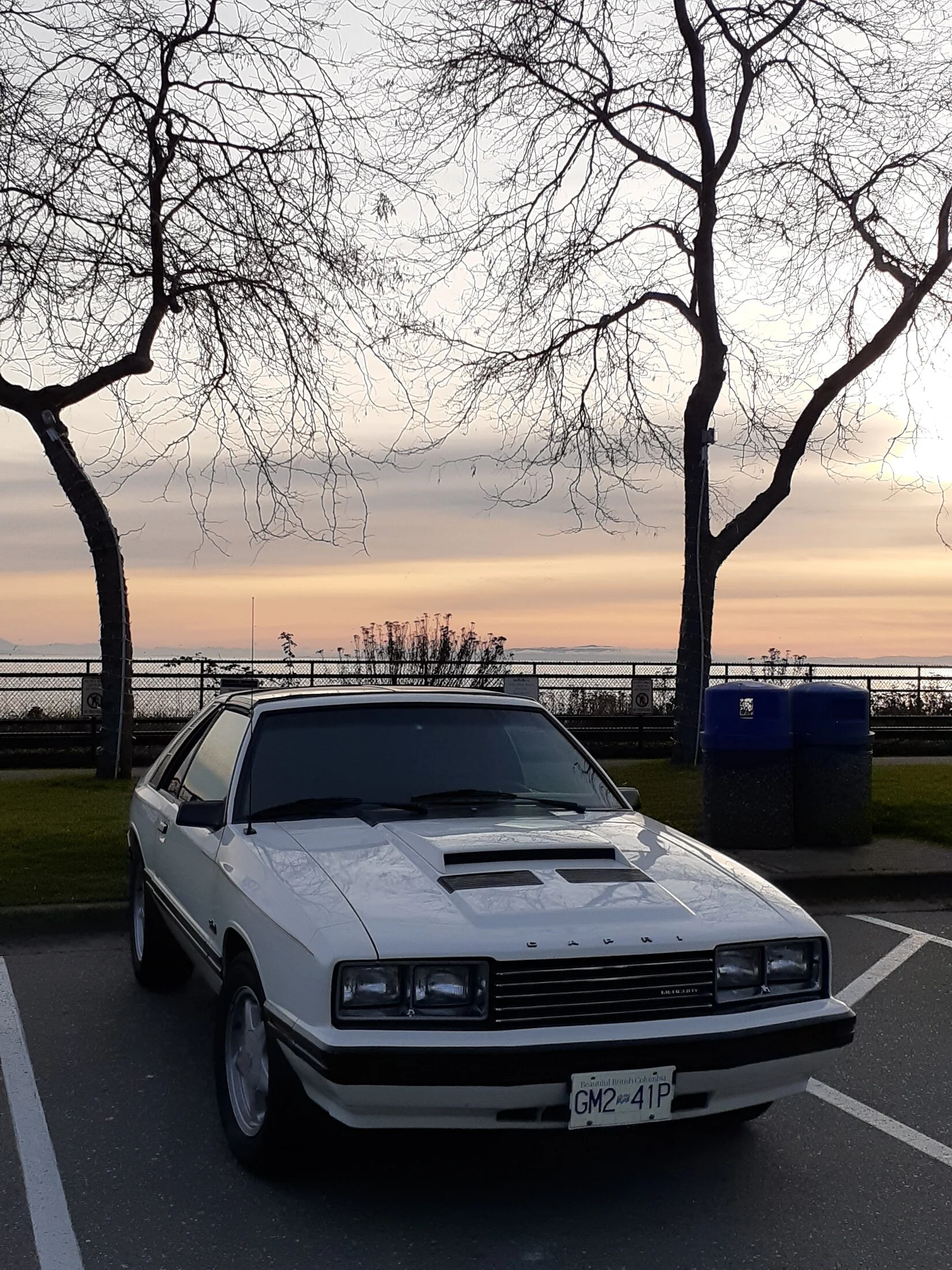 20191106_154607.jpg