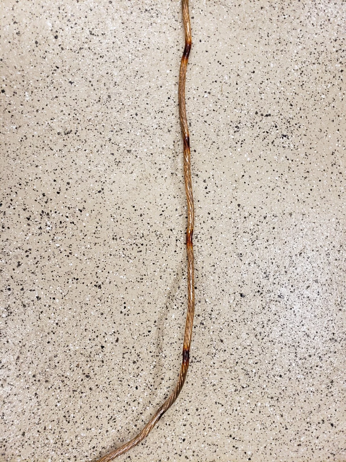 20191209_145309.jpg