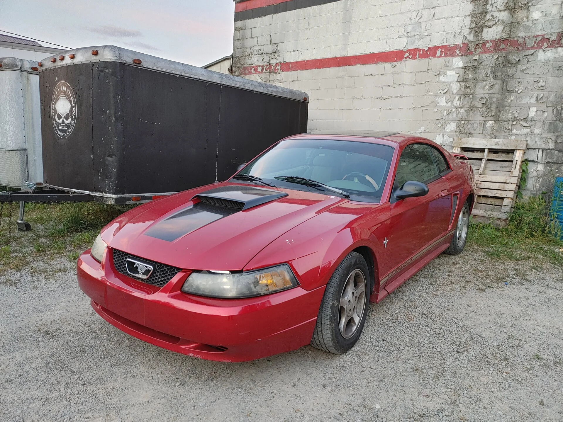 20200616_211215_HDR.jpg