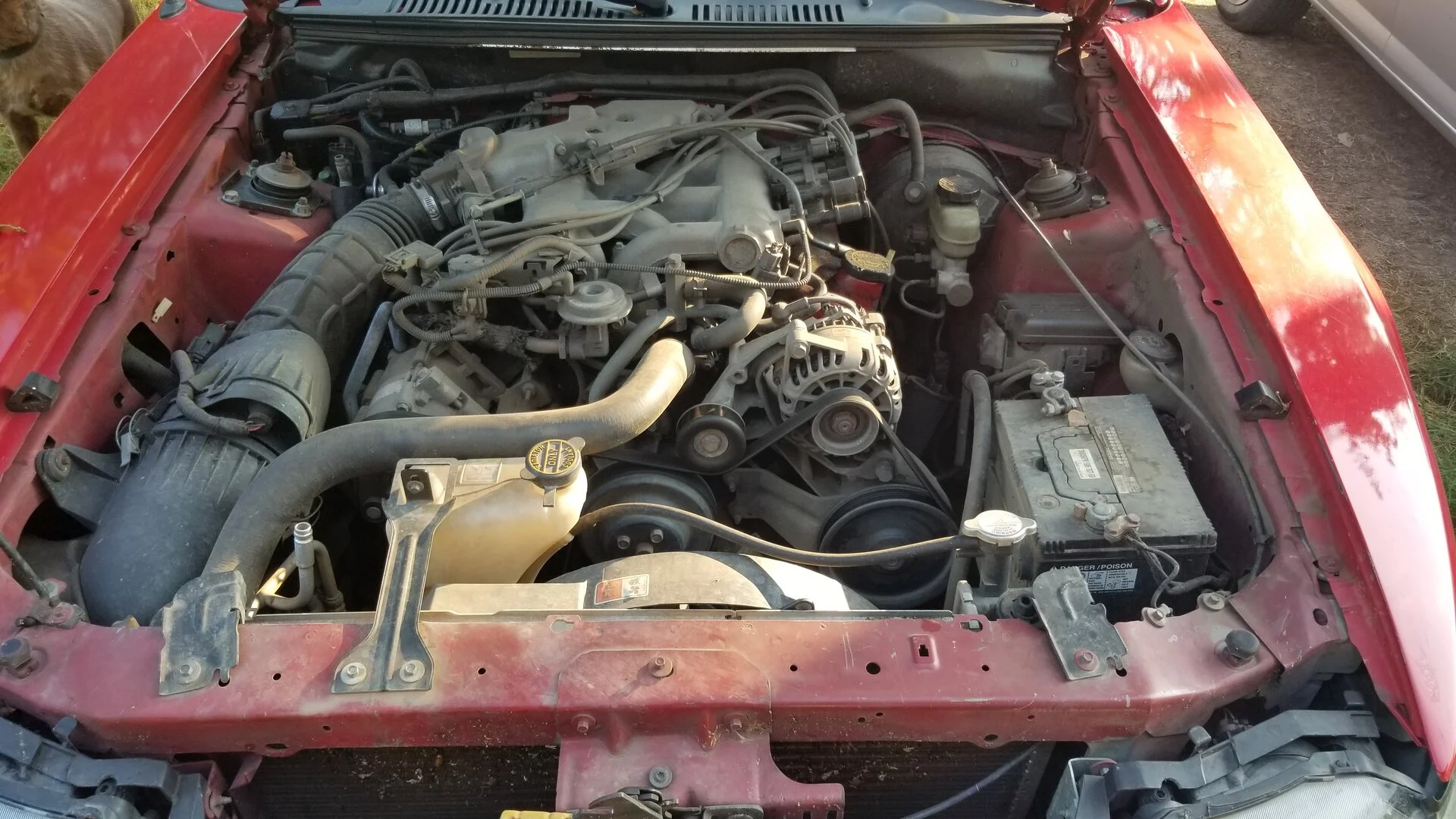 20200806_075902.jpg