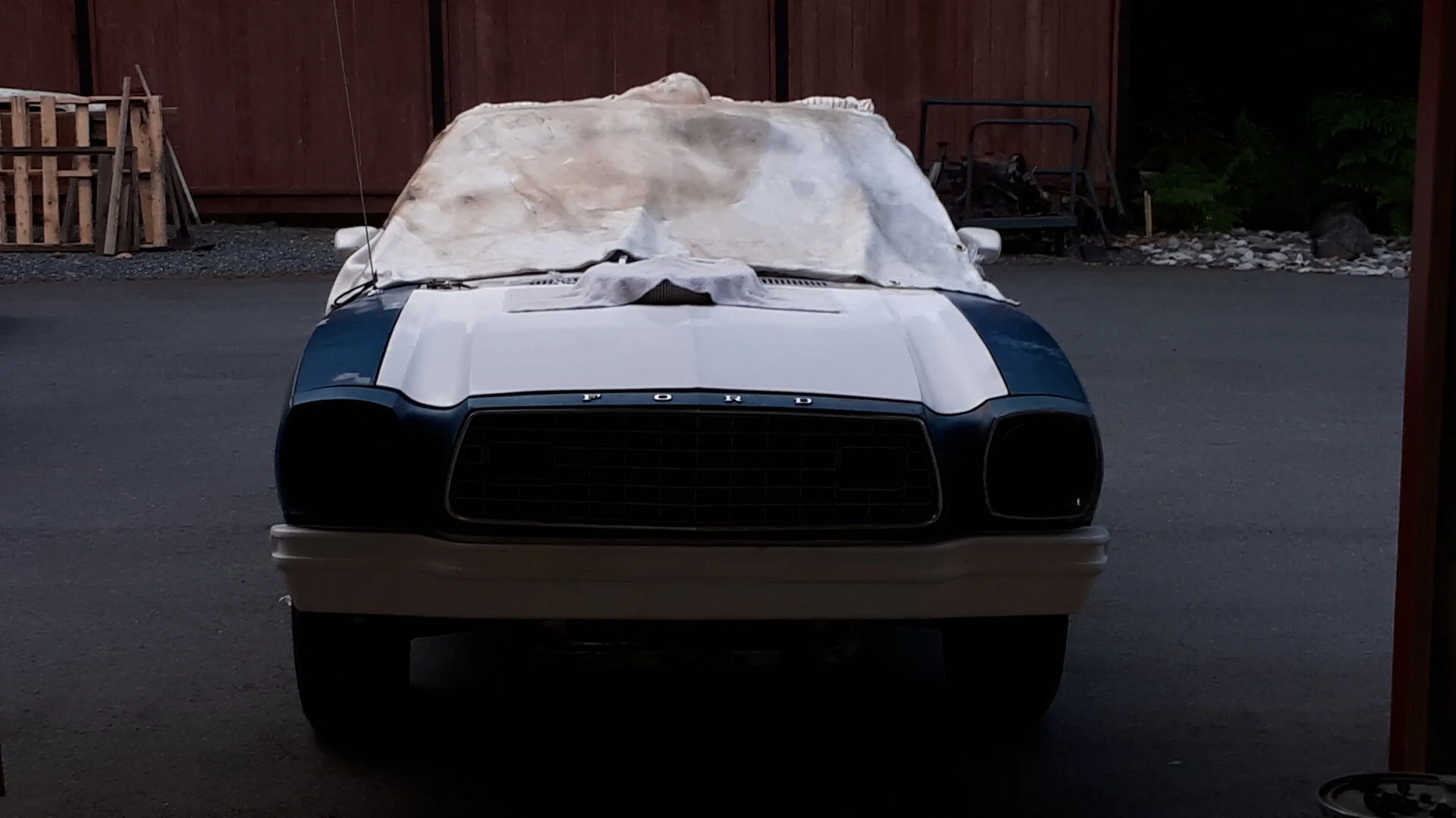 20200816_195137.jpg