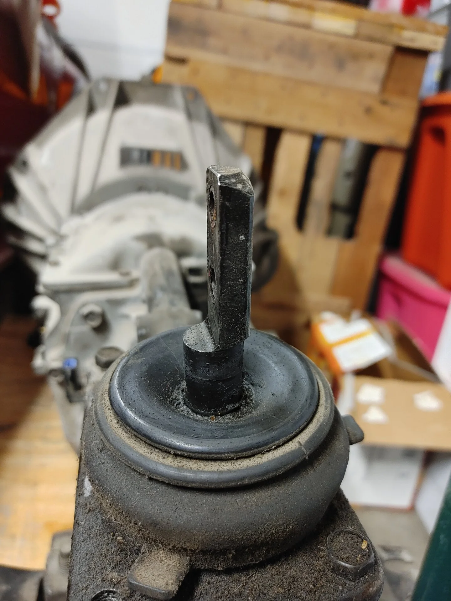 20200830_140223_HDR.webp