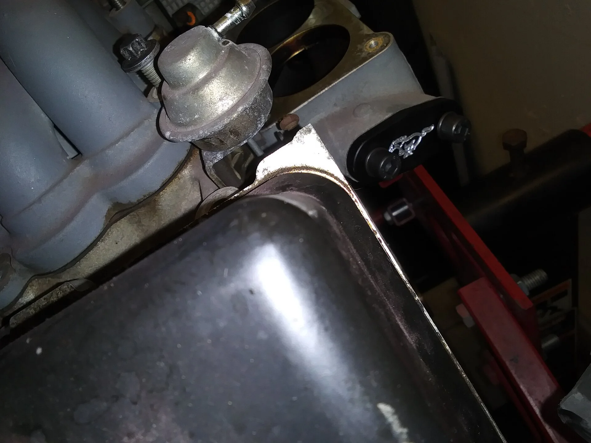 20200904_183108.webp
