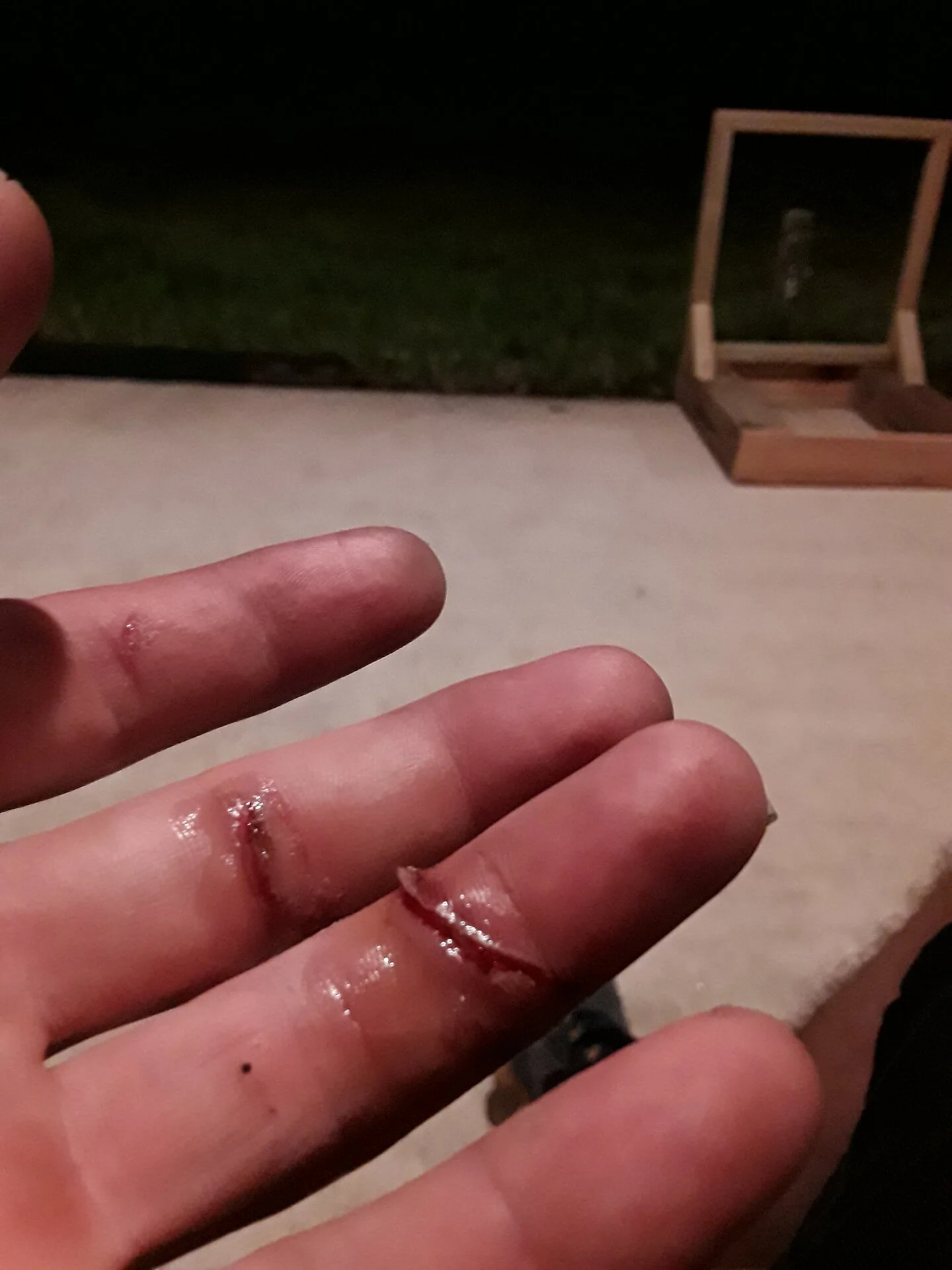 20200906_211828.jpg