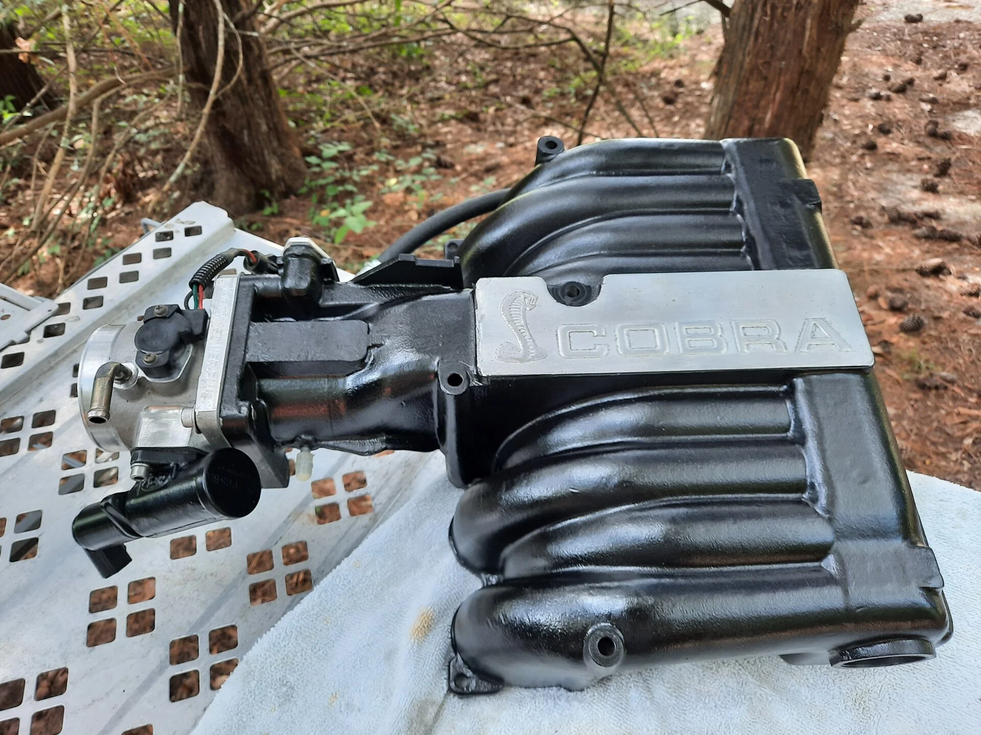 20200914_111408.webp
