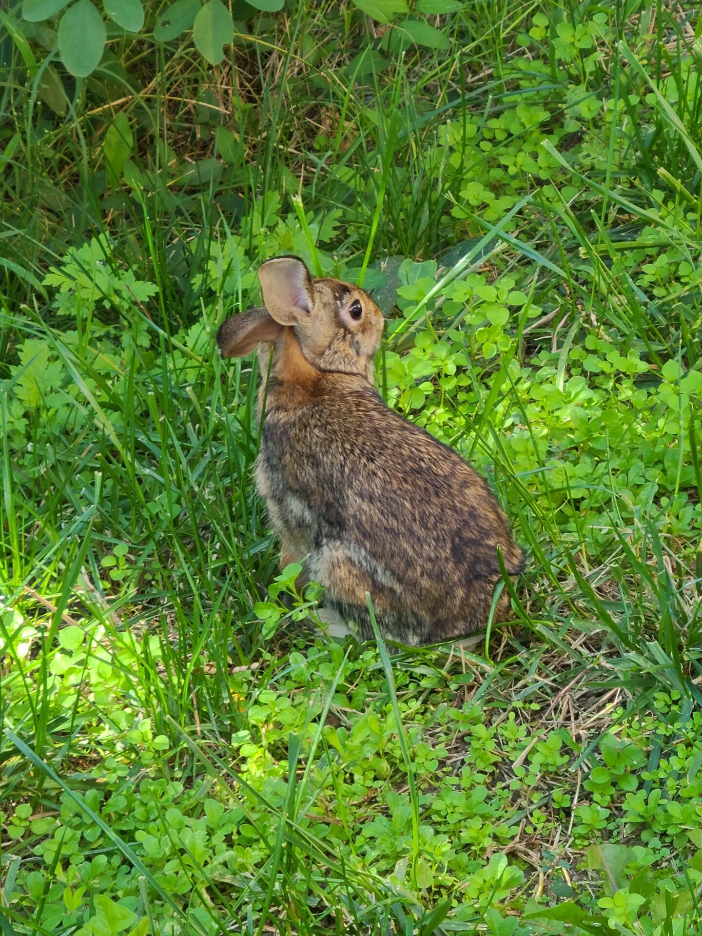 20201006_150743.jpg