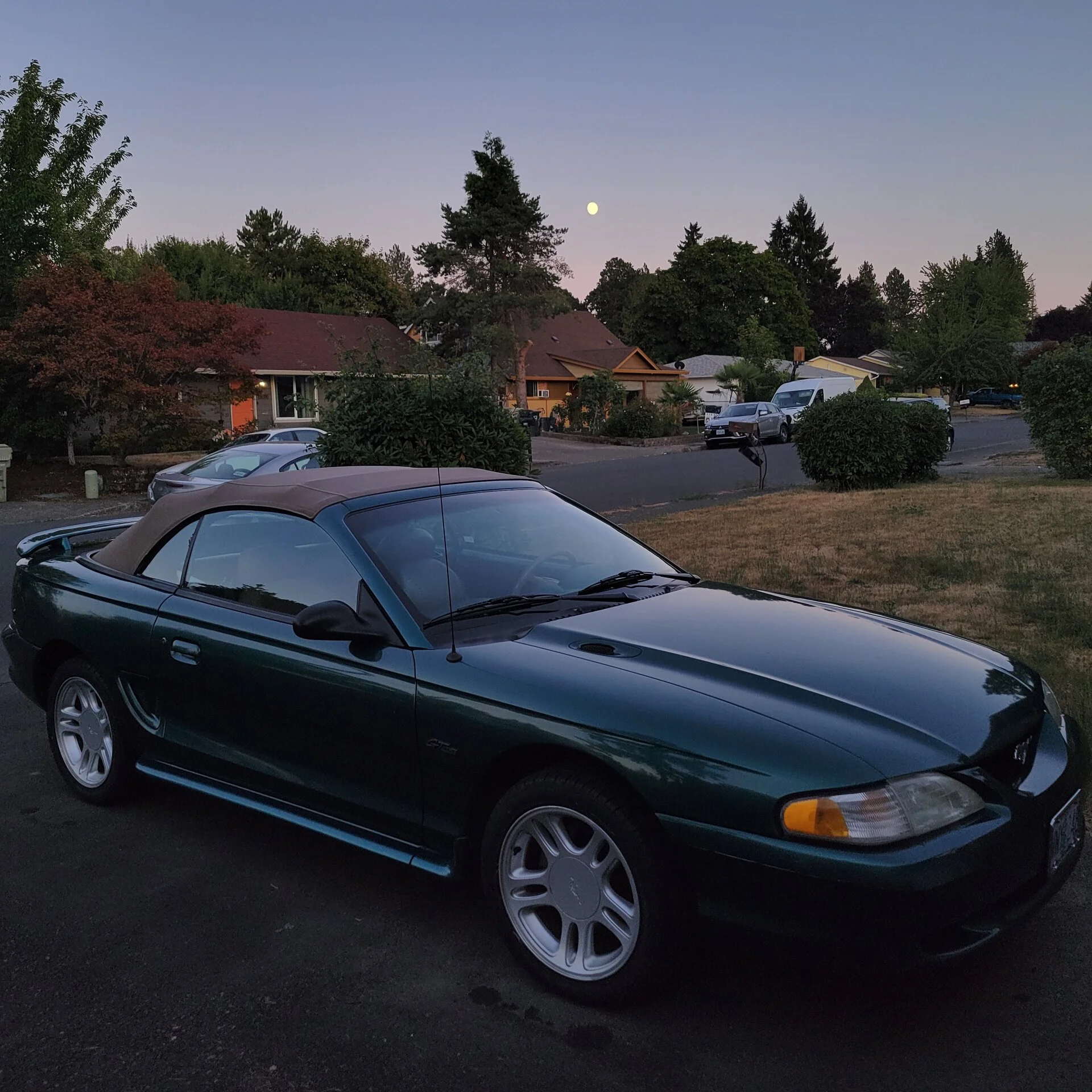 20210721_205315.webp