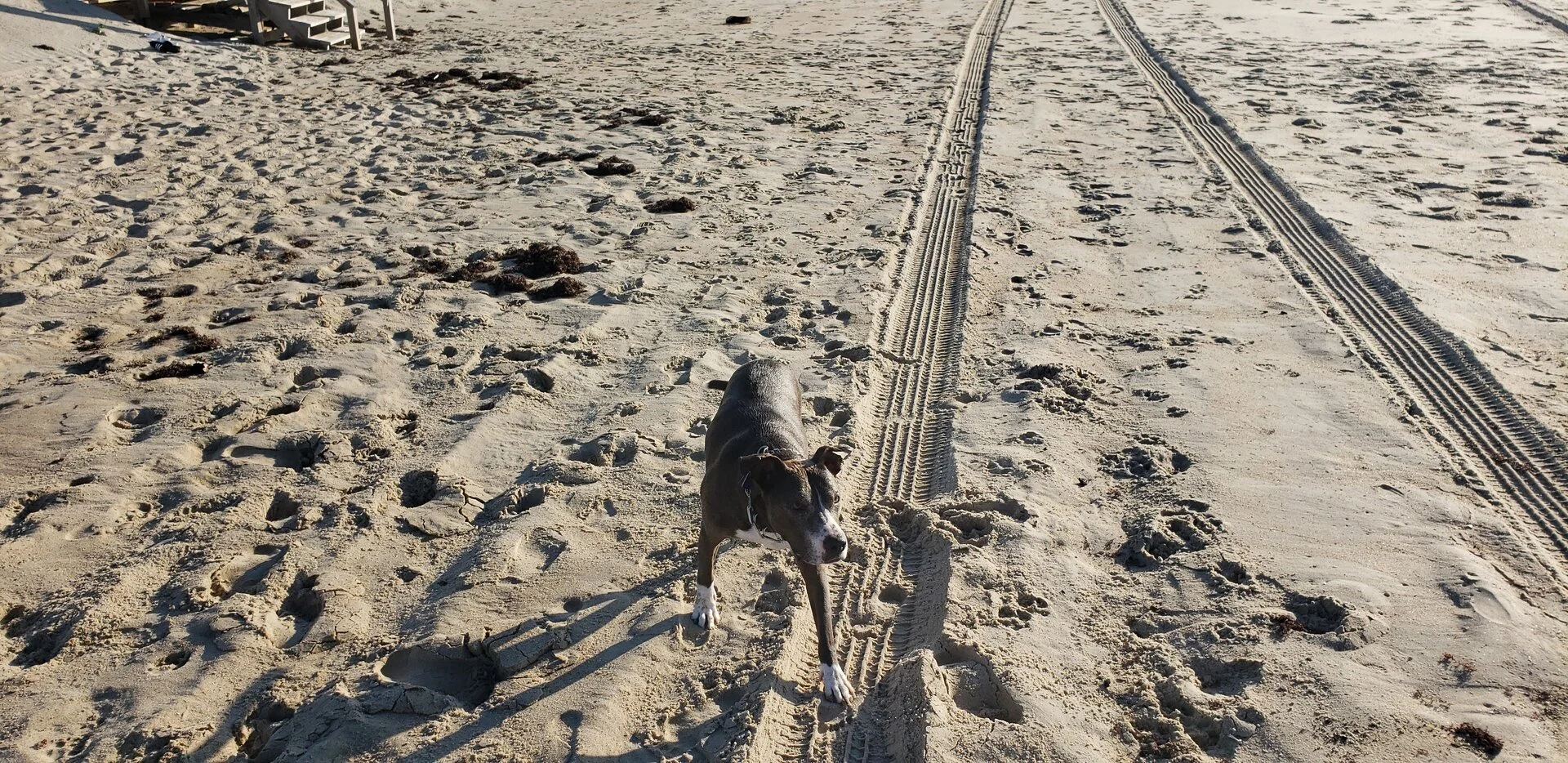 20211004_082710.webp