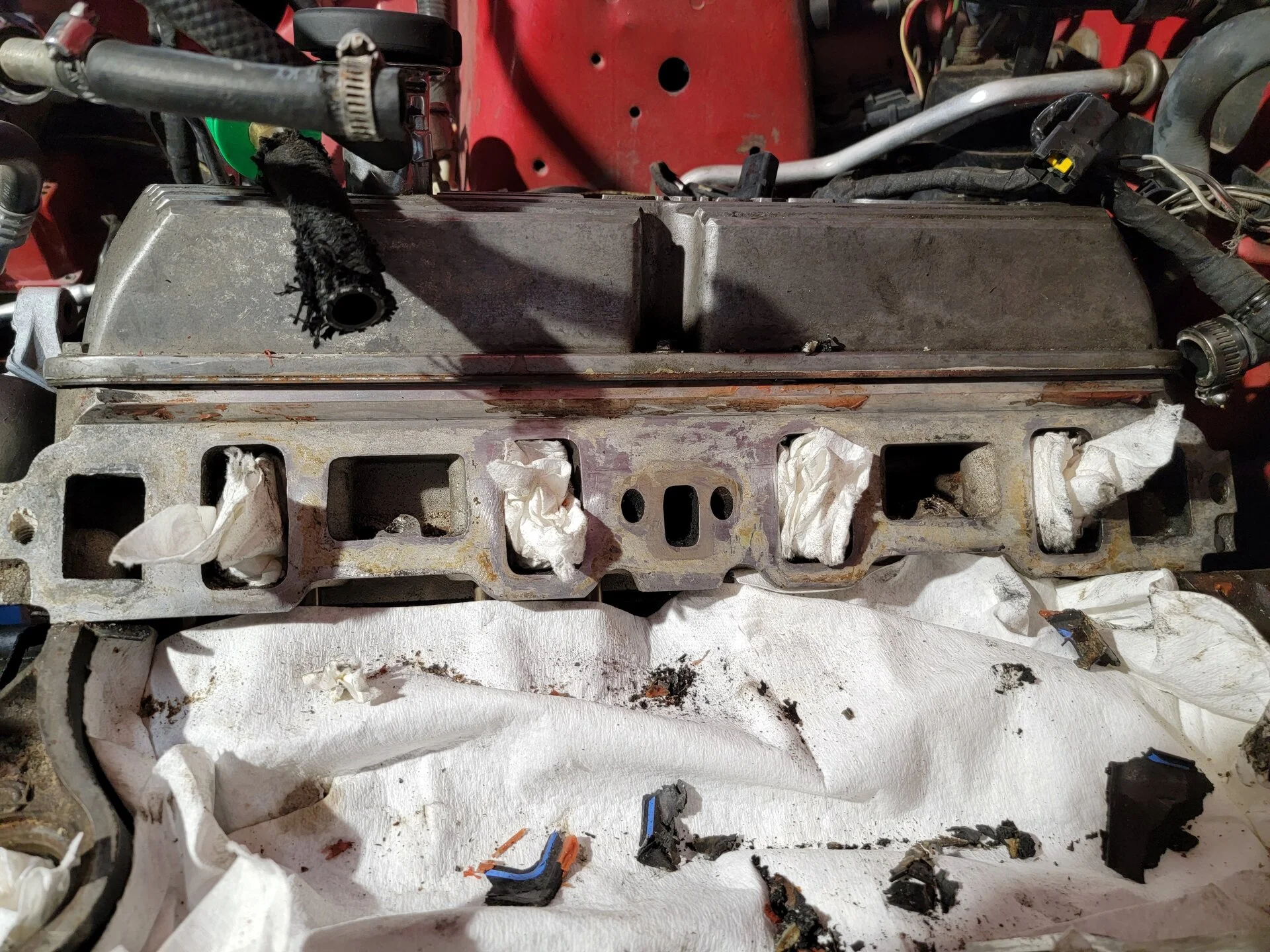 20211104_214924[1].webp
