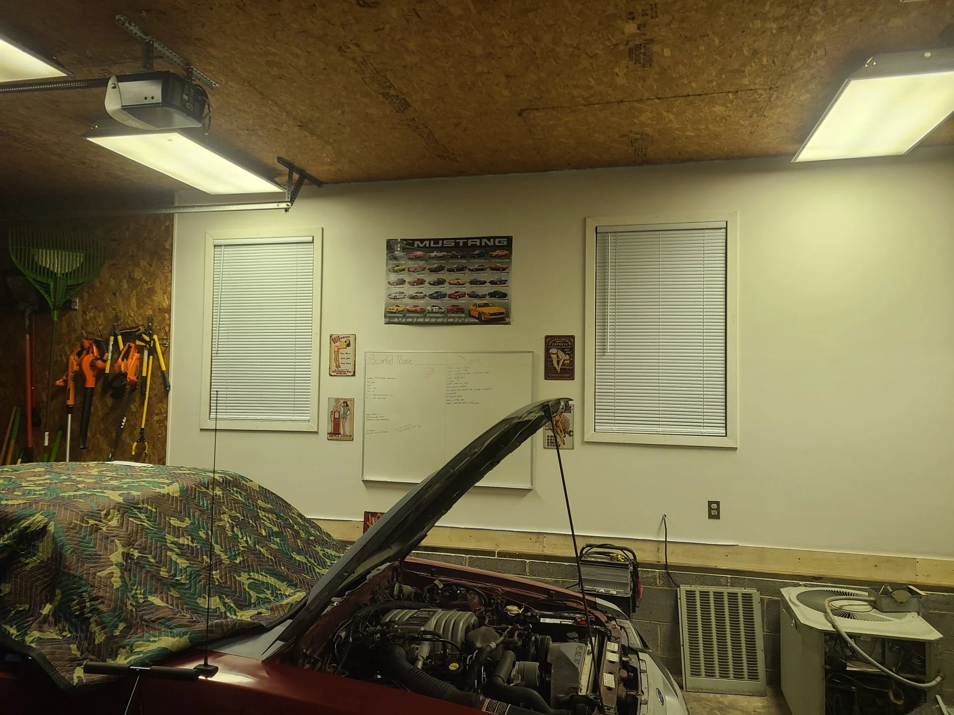 20221102_210023.webp