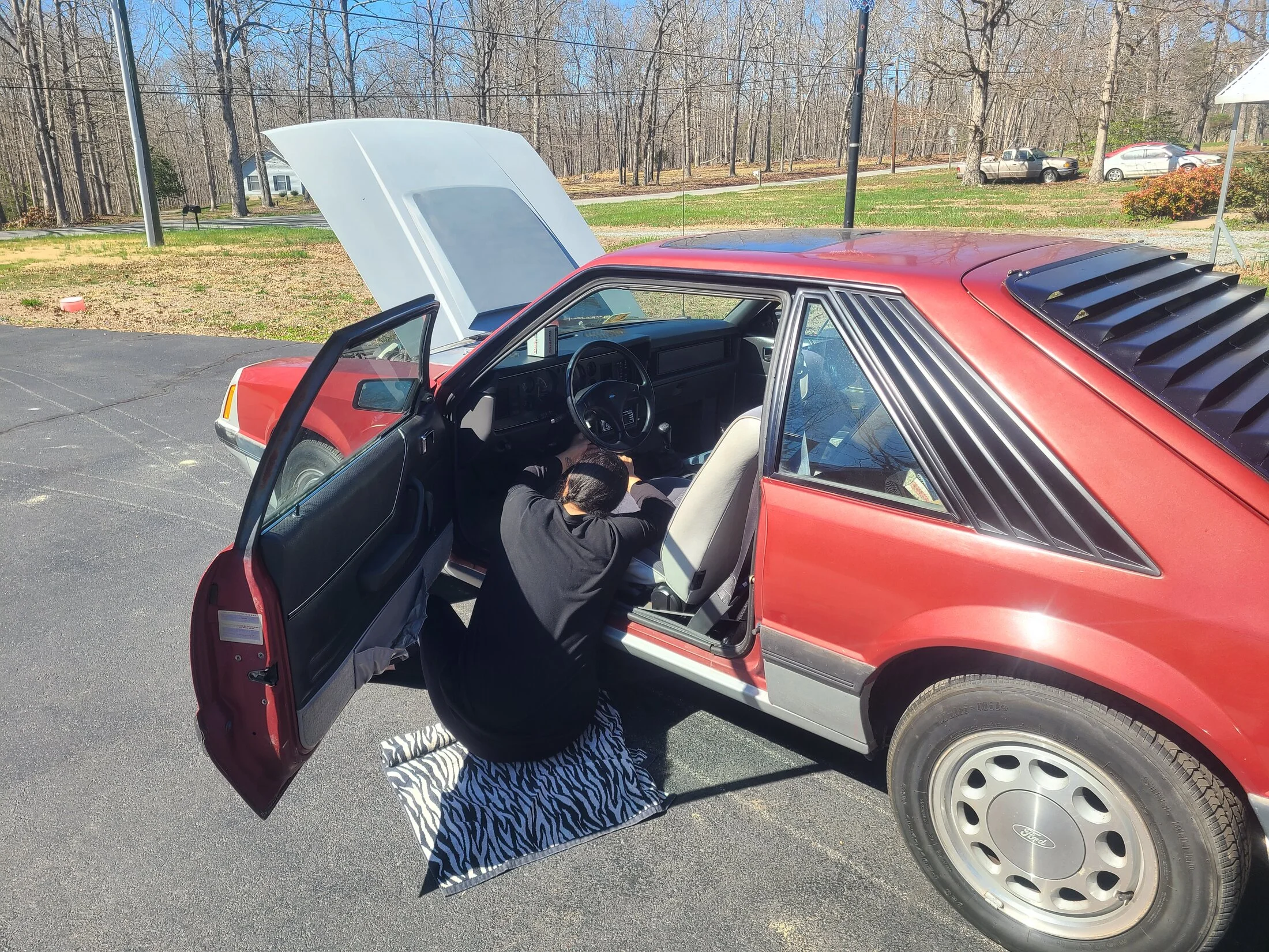 20230402_152006.jpg