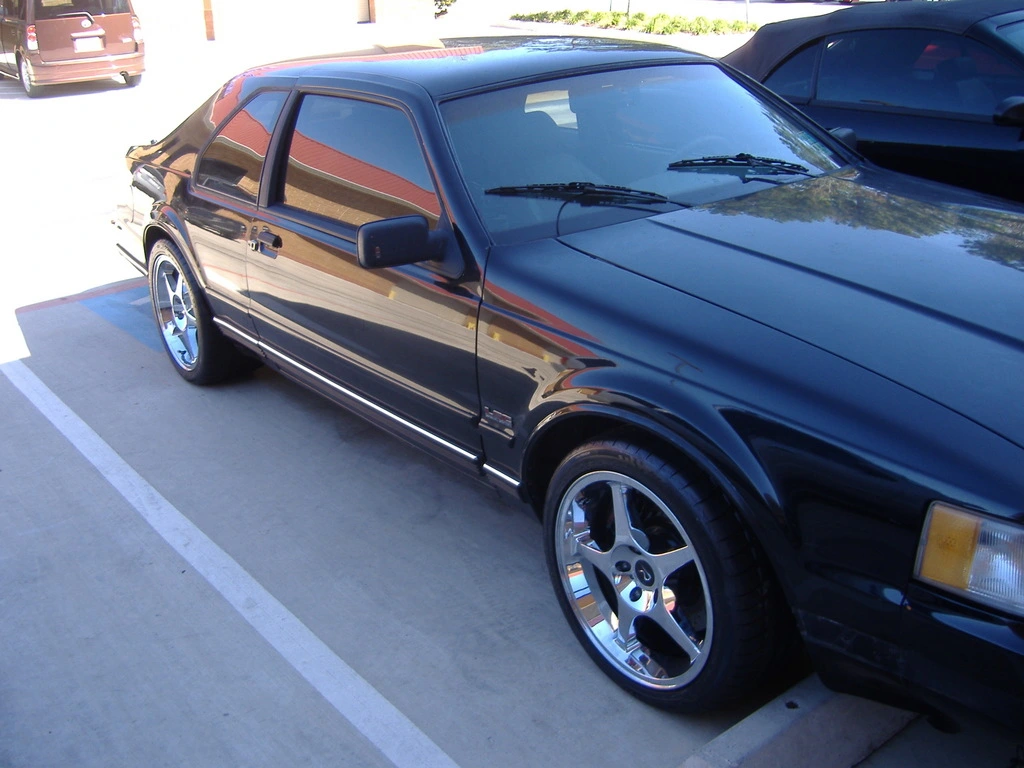 20637310608_large.jpg