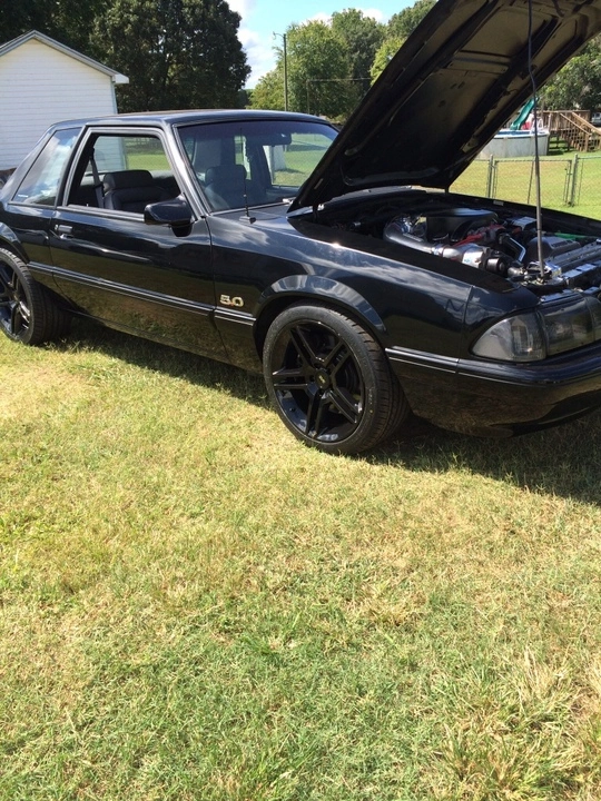 20962ae4b2095839cc1949aad2a028f4.webp