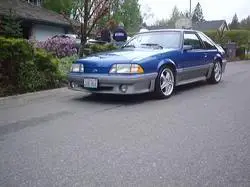 2124840008_medium.webp