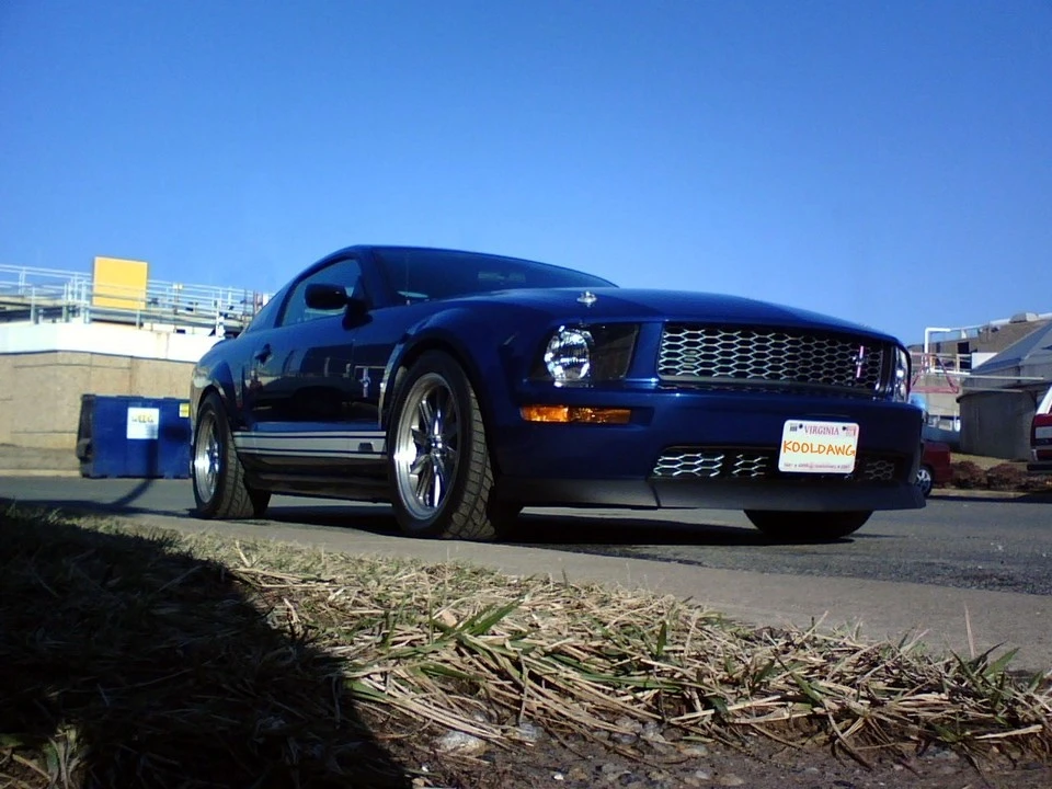2269436742_201a61c099_o.webp