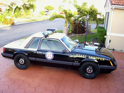 2283341338_273c5fb275.webp