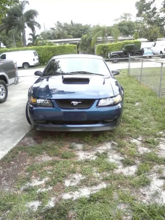 23150357337_ORIG.webp