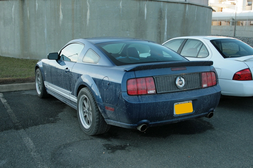 2317747800_0382cbffd0_b.webp