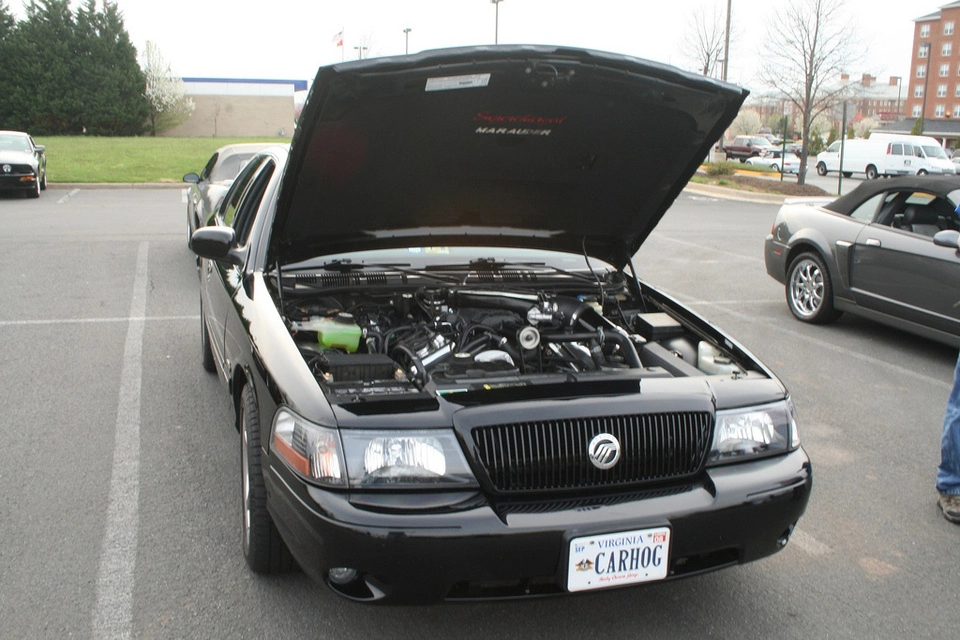 2390990025_5c037647ee_b.webp