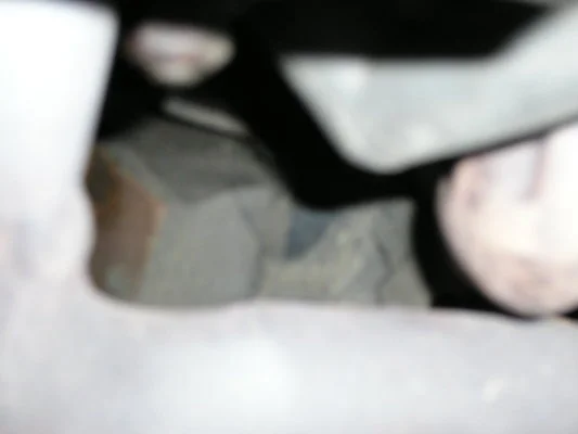 239672910.webp