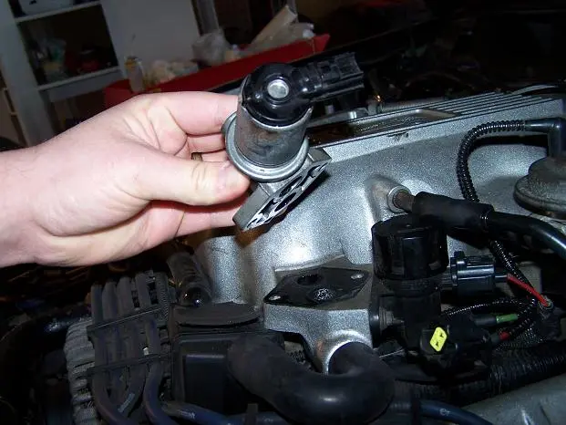 24535d1172775156-your-mustang-stumbling-dieing-idle-iacvalve2.webp