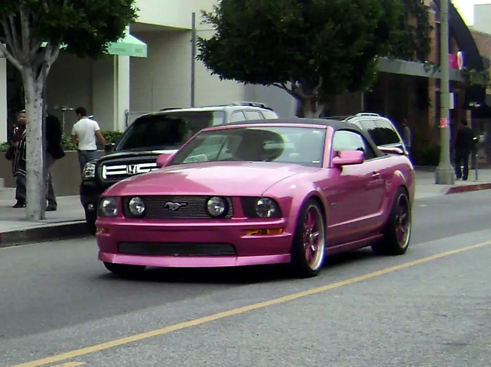 24DSC02879.webp