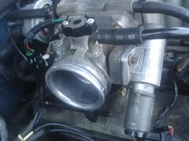 254xzf9.webp