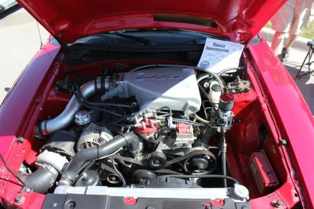 262304_10100209867979905_22400437_48333932_2554132_n.webp