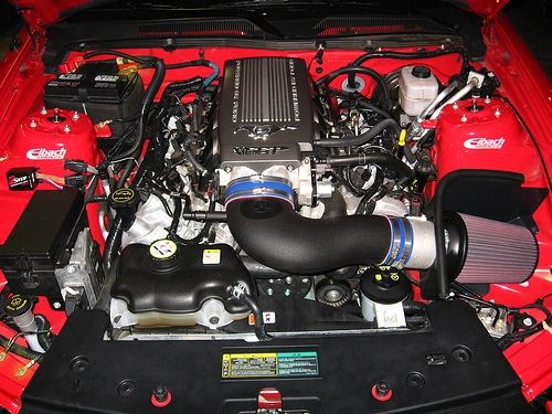 2636394965_187d5d44d2.webp
