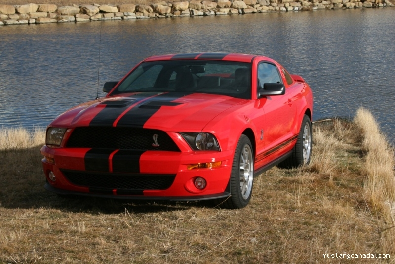 276347ab3c57be8fb.webp