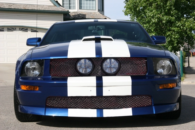 2804794761_21c0a7ea22_o.webp
