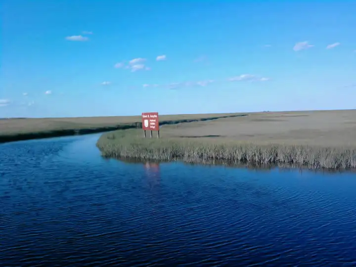 28662_1504938345027_1281327875_3145.webp