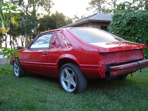 298358995_d0ff9c4252.webp