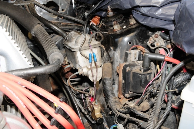 2995865394_aa510cc2da_o.webp