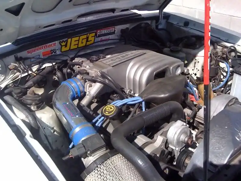2dspnxs.webp