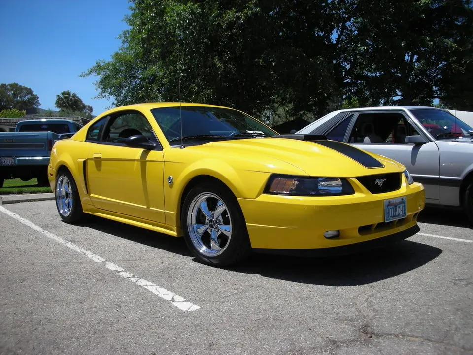2f5e7394.webp