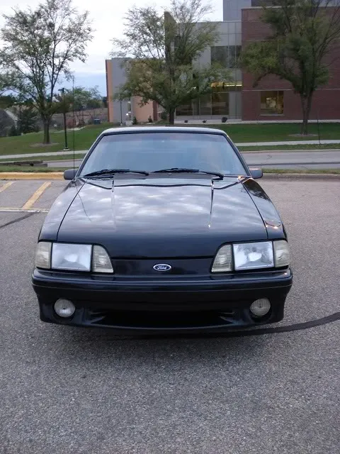 2Mustang.webp